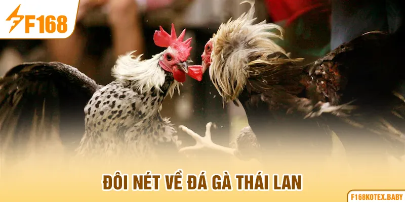 Đôi nét về đá gà Thái Lan