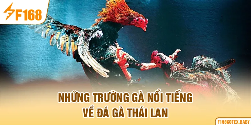 Những trường gà nổi tiếng về đá gà Thái Lan